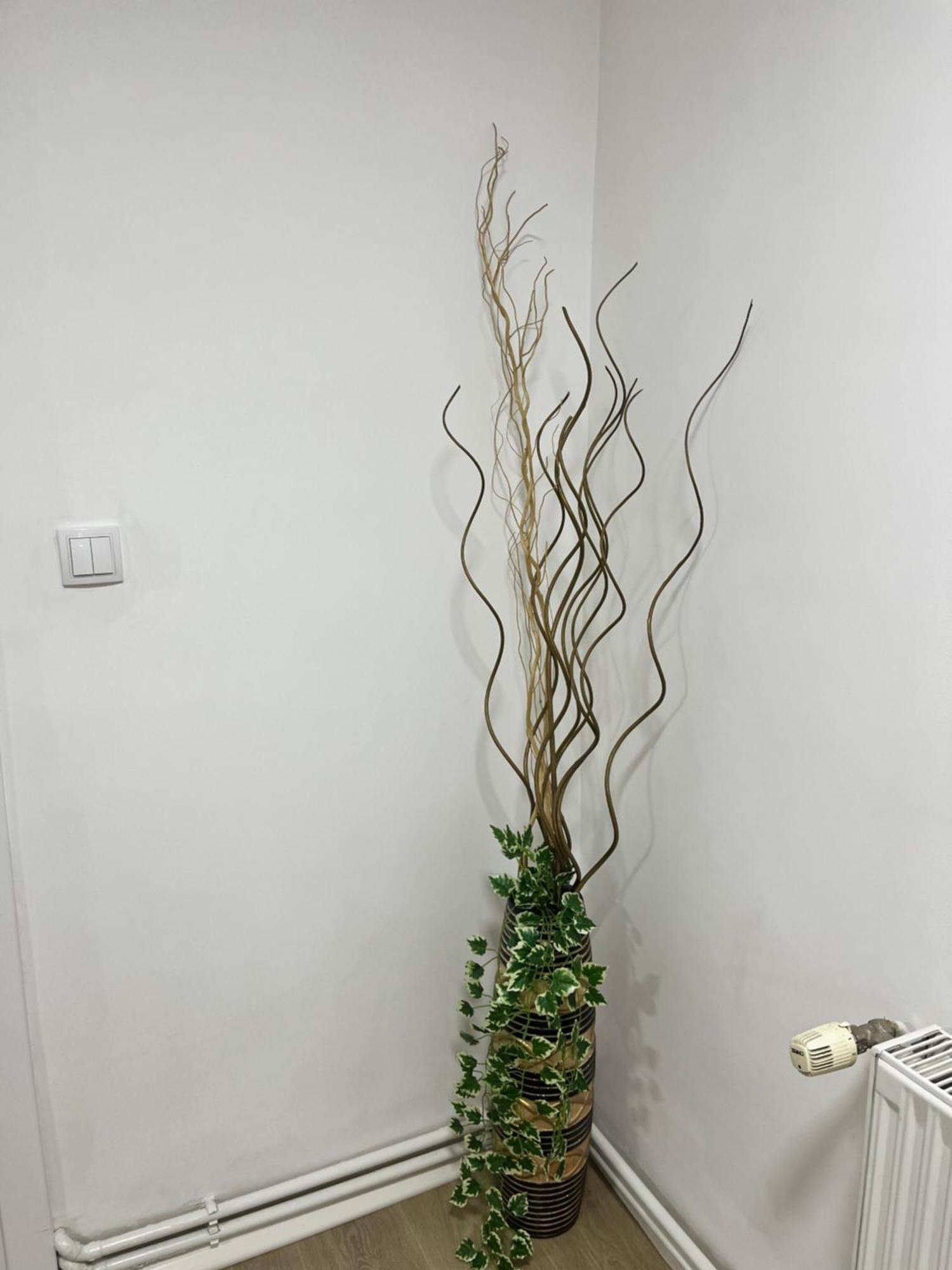 Irma Apartment